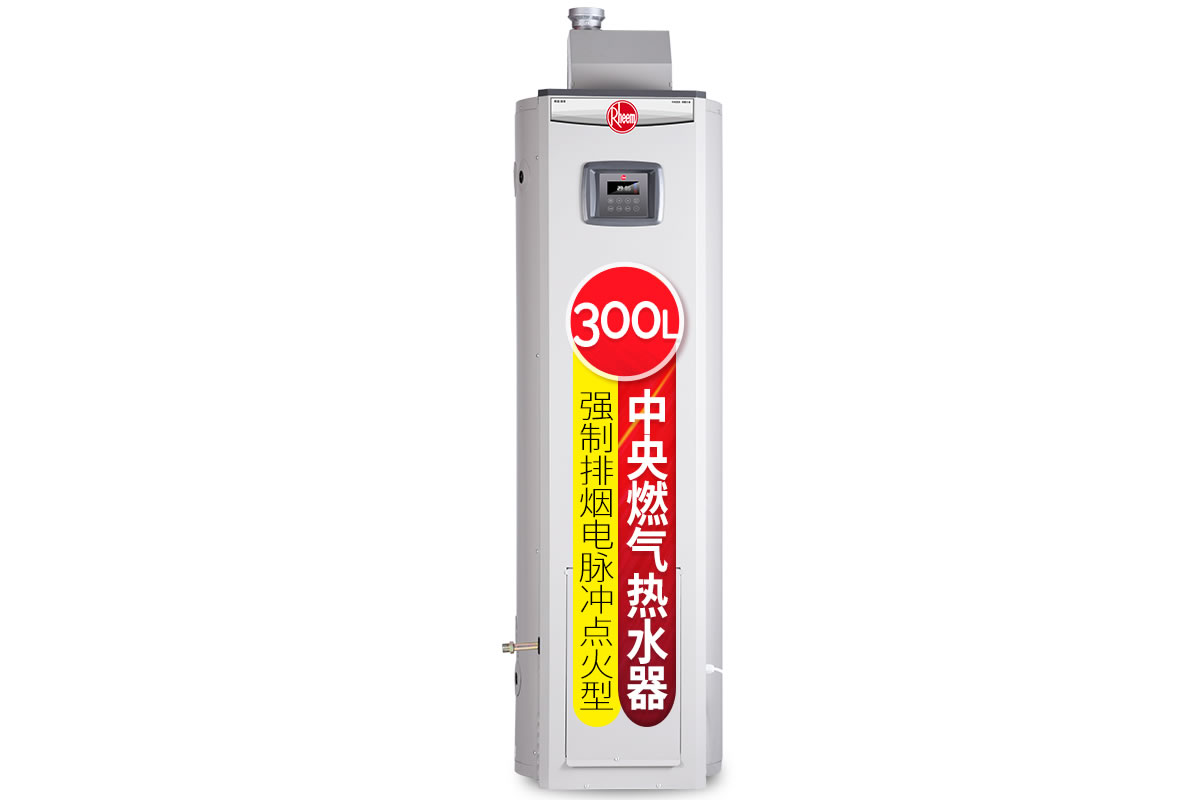 强制排烟 全自动运行 中央燃气热水器 300L